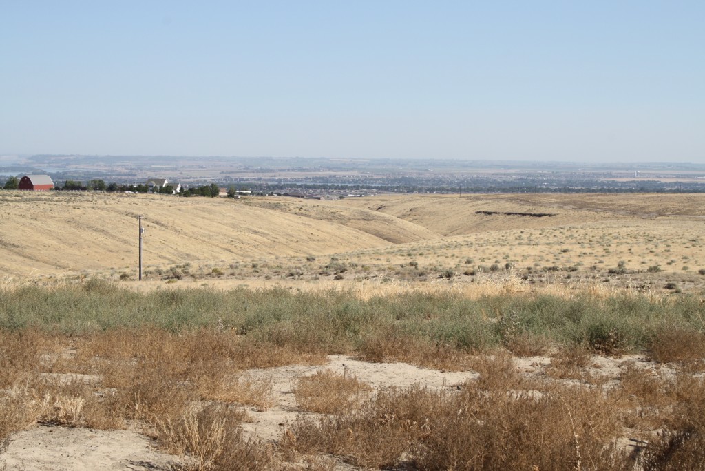 Coyote Canyon, Kennewick WA